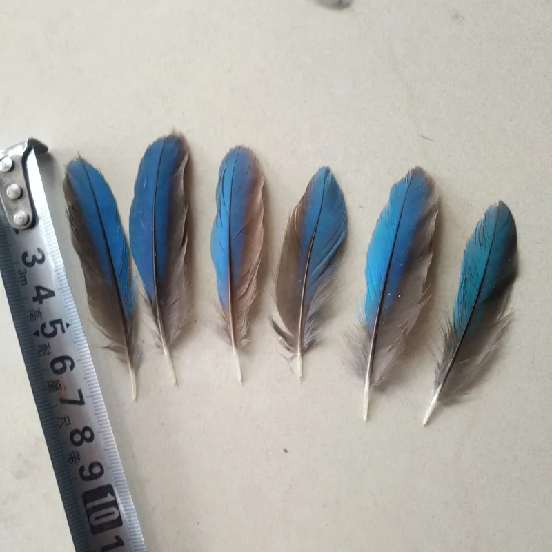 10 шт. натуральные перья Kingfisher 5-8 см Diy Ювелирные изделия Свадебные декоративные аксессуары