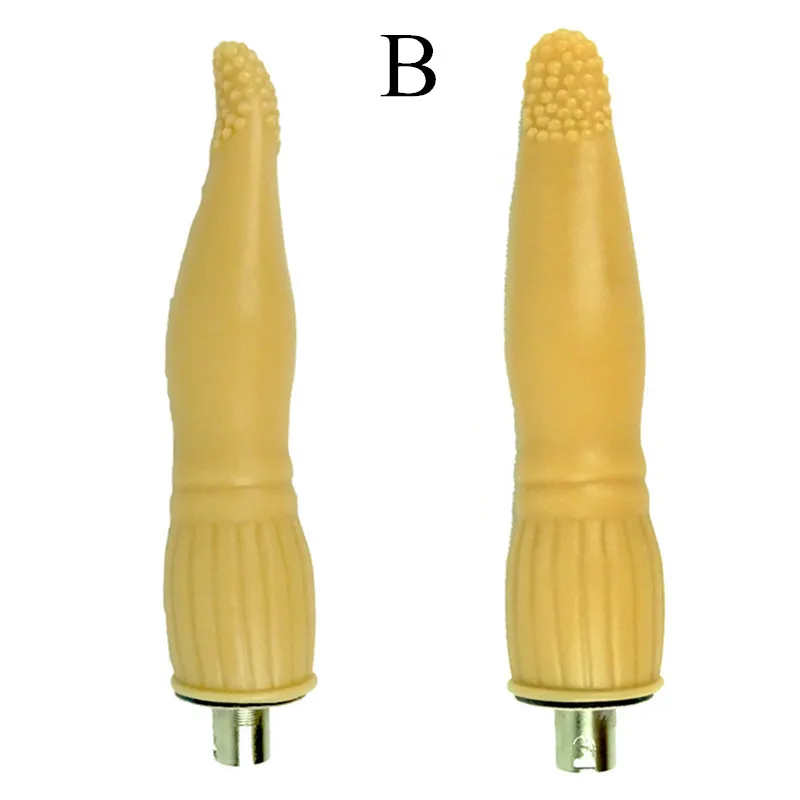 B (3)