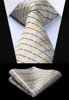 

TC713E8S Plaid Beige Blue Check 3.4" Silk Tie Party Wedding Handkerchief Set Woven Classic Men Tie Necktie