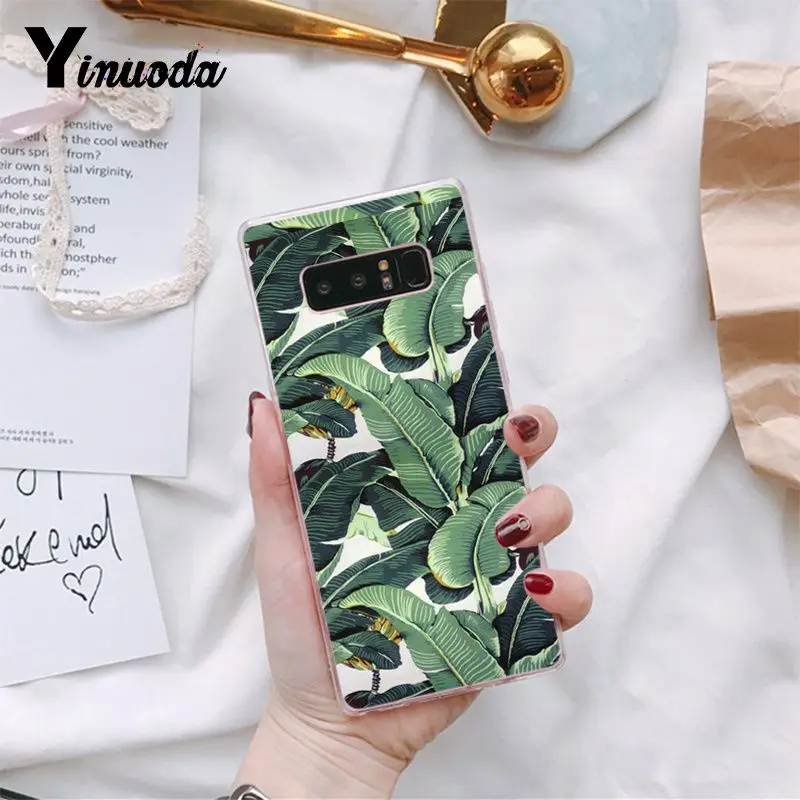 Tropical Plants Cactus Banana Leaves