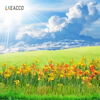 

Laeacco Nature Scenic Backdrop Sunshine Flower Grass Photography Backgrounds Customized Photographic Backdrops For Photo Studio