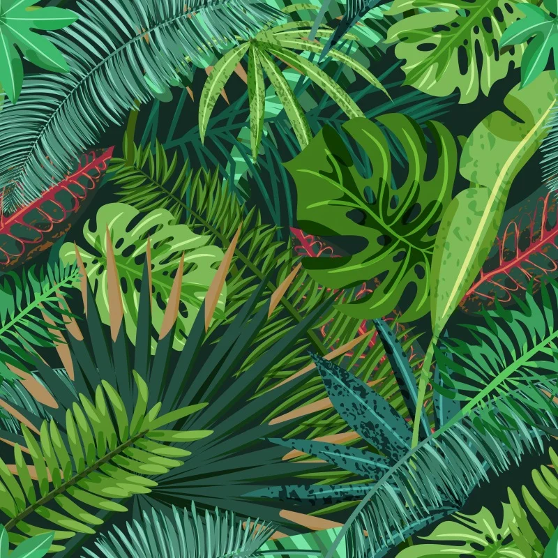 

Laeacco Tropical Monstera Baby Summer Party Photography Background Customized Photographic Backdrops For Photo Studio
