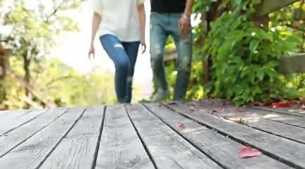 O1CN01xSeneK1wZypW8JCcs___6000000006323_0_tbvideo