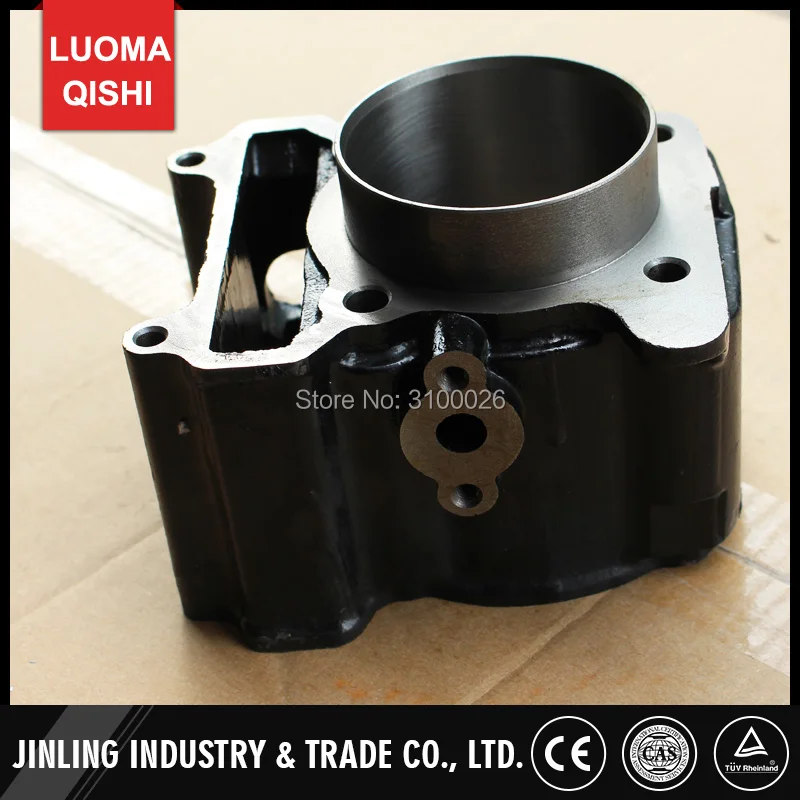 FA-D300-006-2-BUYANG-ATV-PARTS-ENGINE-CYLINDER
