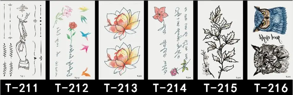 36020190509211947949
