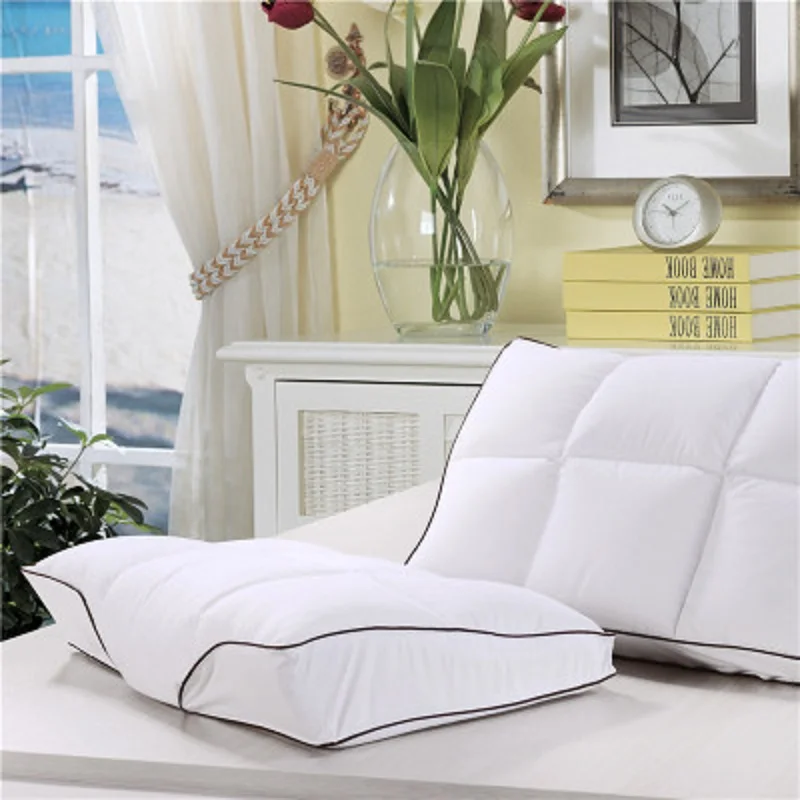 High end Down pillow 95 goose Neck guard Memory Pillow in Bedding pillows Soft comfortable
