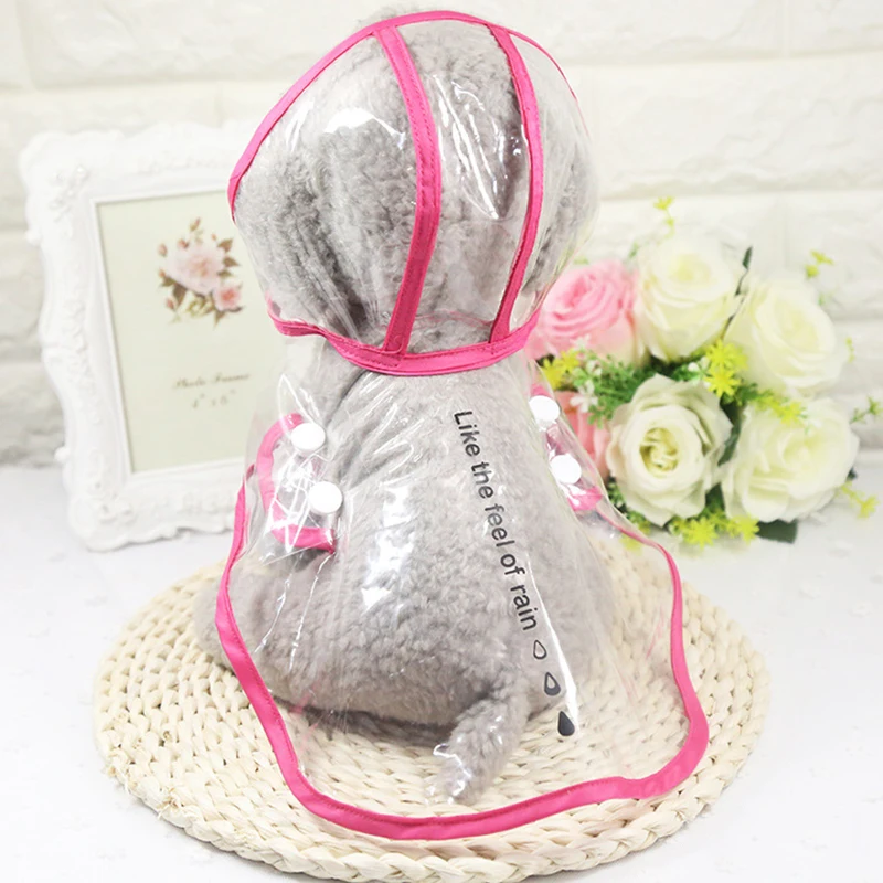 4072106554_799069744