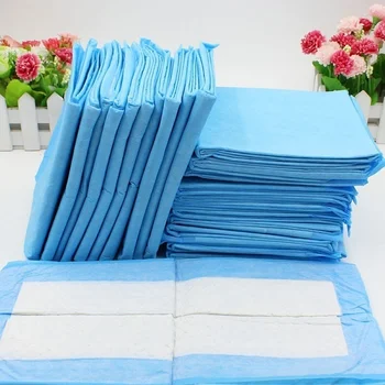 

20 Pieces Dog Bed Mat Warm Blanket Small Pets Diapers Dog Puppy Pad Pee Training Pads Thickening Toilet Pet Wet Mat Pet Supplies