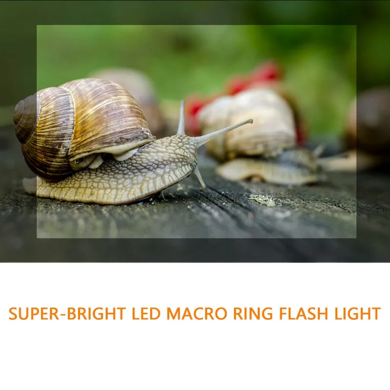 Najtaniej Travor 18 sztuk makro LED pierścień latarka RF 600D do Canon Nikon Panasonic Pentax Olympus lustrzanka cyfrowa