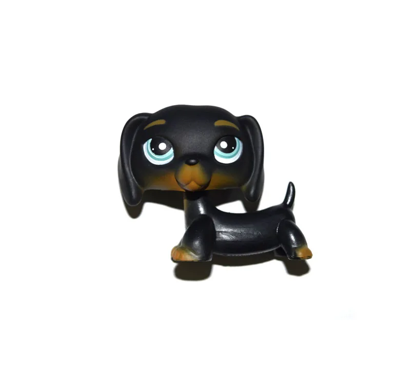 

Pet Shop Black Dark Brown Blue Eyes Dachshund Dog Figure Toy XMAX GIFT