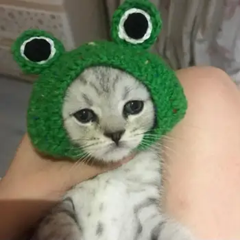 

DIY Pet Cat Dog Creative Frog Design Hat Warm Knitted Hat Gift for Pets