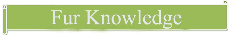 Fur knowledge .jpg