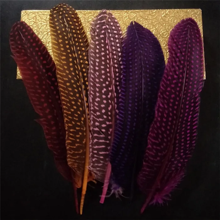 pearl pheasant feathers 1 (16)