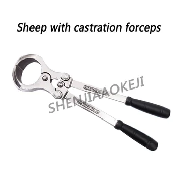 

sheep with castration forceps Stainless steel Head thickening Detachable Cutting pliers sheep equipment 1pc