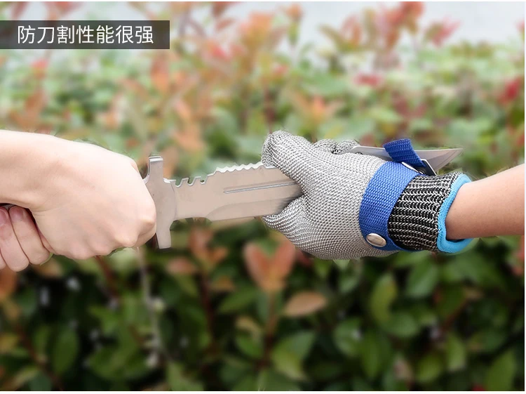 TB23AcrhyOYBuNjSsD4XXbSkFXa_!!671972315