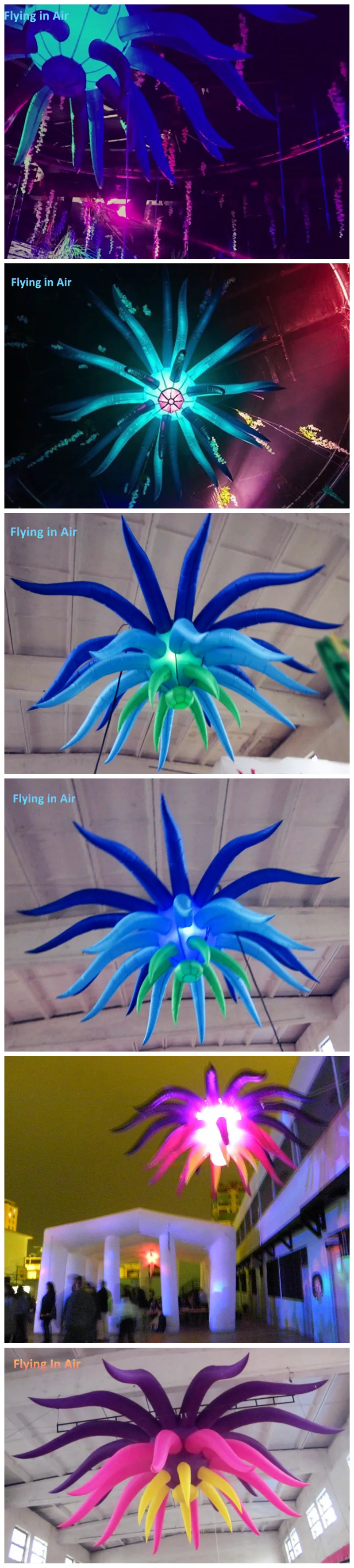 UT8n8LnXsdaXXagOFbXE_-
