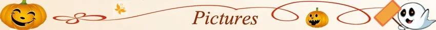 Pictures