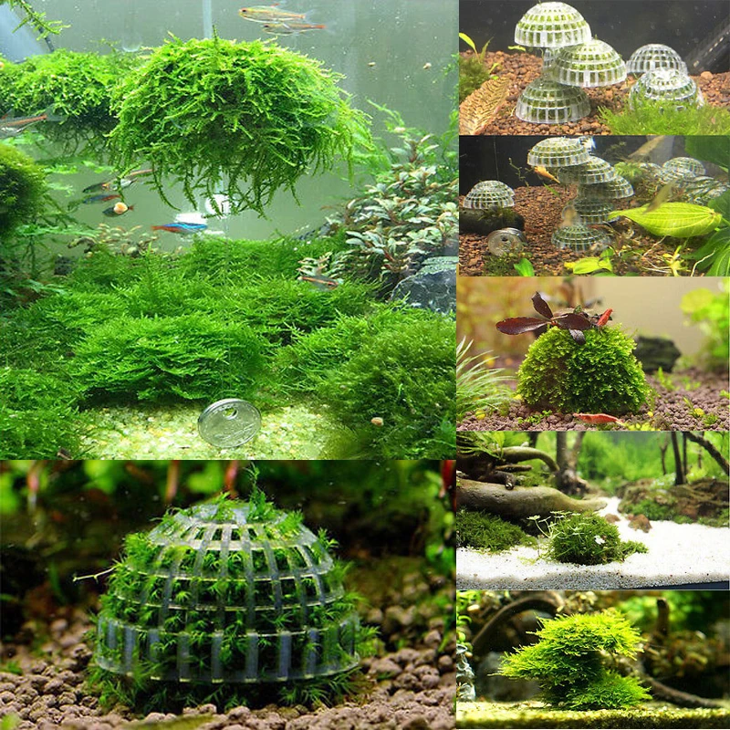 5 см аквариумный аквариум медиа мох шар фильтр фильтрации декор для живого растения