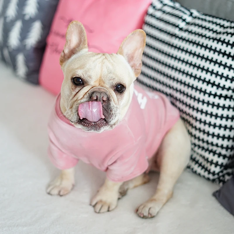 [MPK Store] дизайн, коралловый флисовый свитер для собак, одежда для собак Chung-Ang на холодное время года, гладкая текстура, доступно в 4 цветах