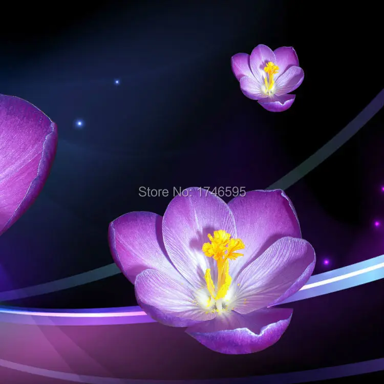 purple crabapple blossom-2