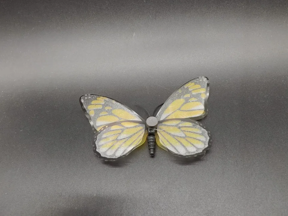 I271-Butterfly (8)