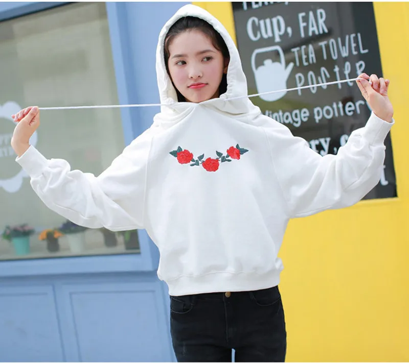 2017 Hoodies Women Ulzzang Autumn Winter New Korean Clothes Cute Hoodie