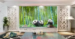 3d обои на заказ фотография нетканого росписи 3d настенные фрески обои для гостиной национальное достояние панда ТВ фон картины