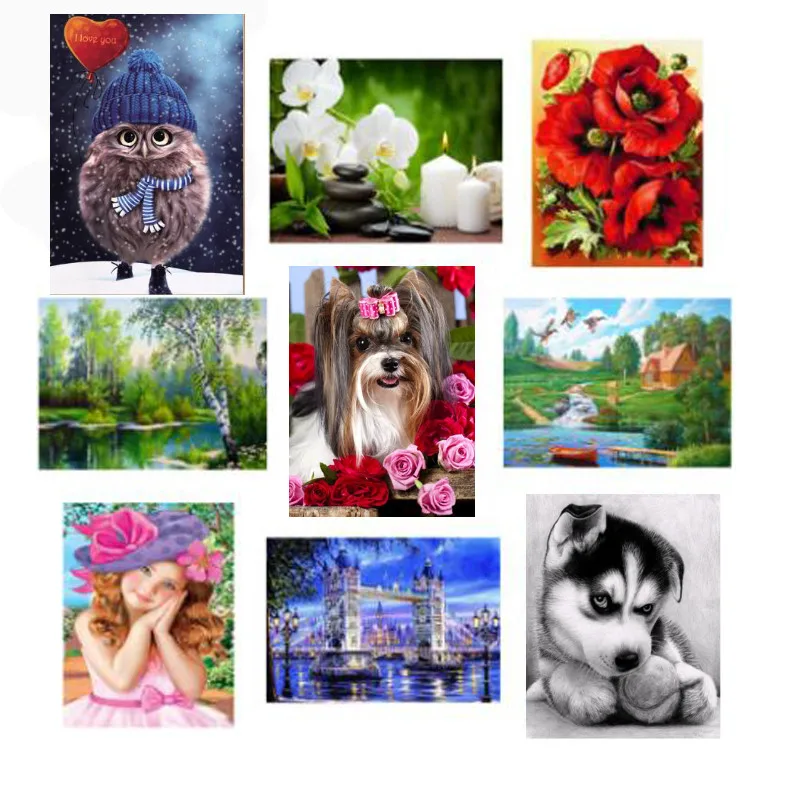 

Diamond Embroidery 5D DIY Diamond Painting Lovely Animal Cross Stitch Full Square 3D Diamond Mosaic Home Decor L539