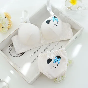 

Steel free support Bra set sexy lingerie set underwire underwear push up intimates women bra and panties brief sets