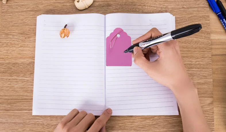 HTB1nDomazzuK1RjSsppq6xz0XXaB