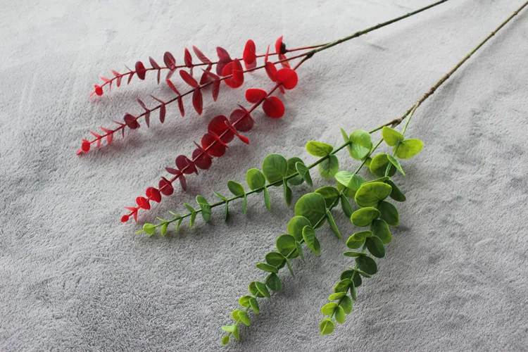 Simulate plants Eucalyptus leaves (12)