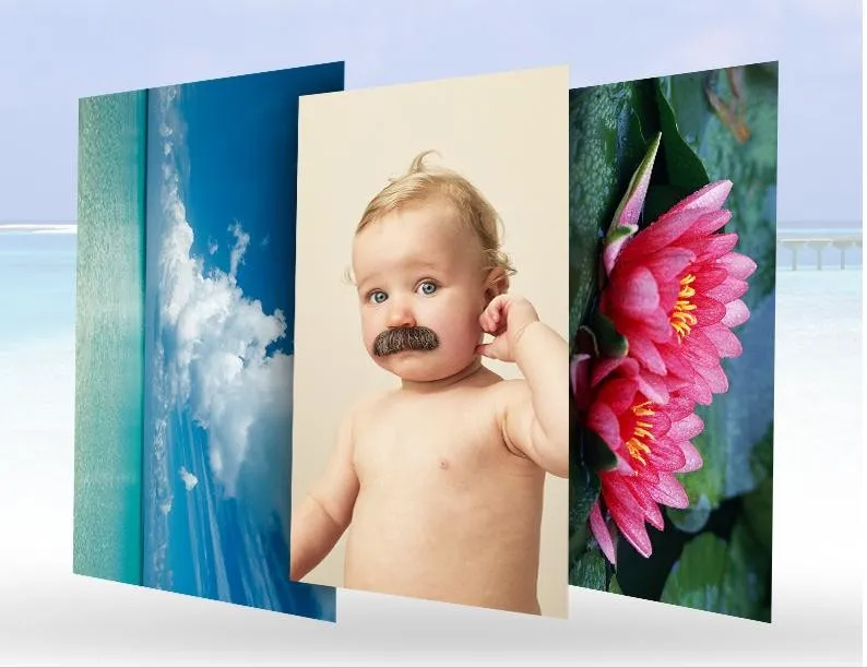 36020161219223011667