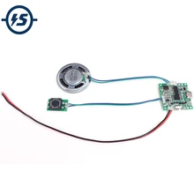 Звуковой голосовой модуль записываемая музыка изменяемый Объем 8 м с регулировкой литиевая батарея зарядное устройство сменная цепь