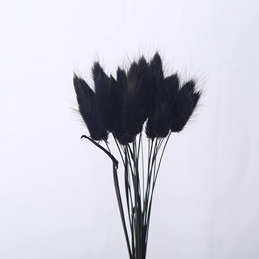 20 шт./партия, Натуральные сушеные цветы, искусственные окрашенные настоящие цветы, букет оватус для дома, Свадебные Декоративные искусственные цветы - Цвет: black