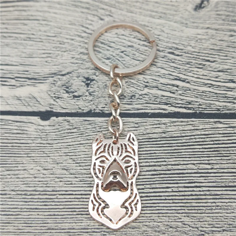 4E5CBE86C29AE347D432D504196D84C6