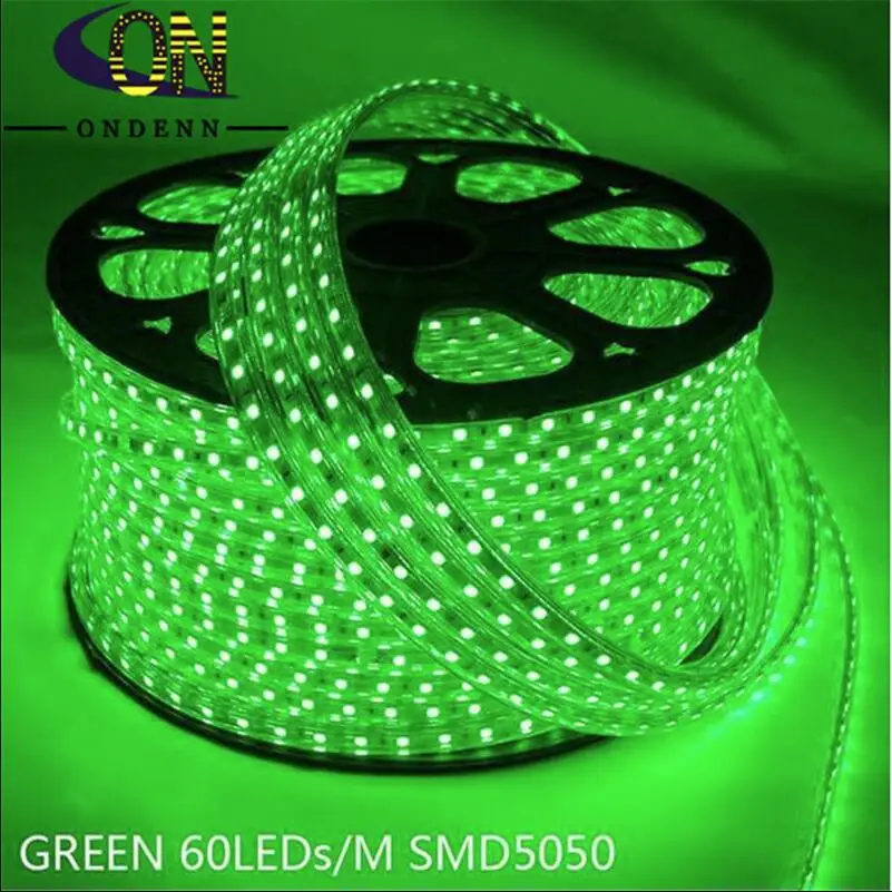 Гибкая светодиодная ленсветильник RGB 3014 5050 SMD 60 светодиодов на метр 220 В