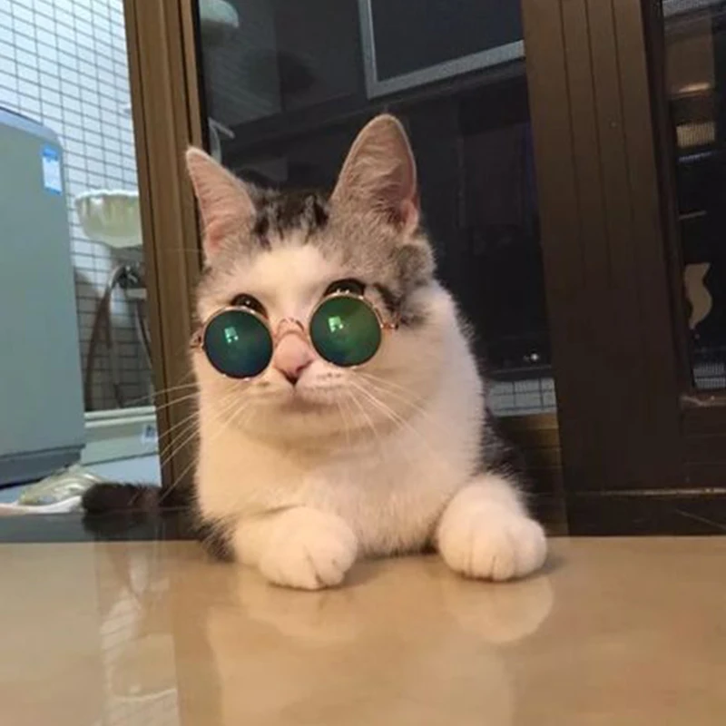 4444