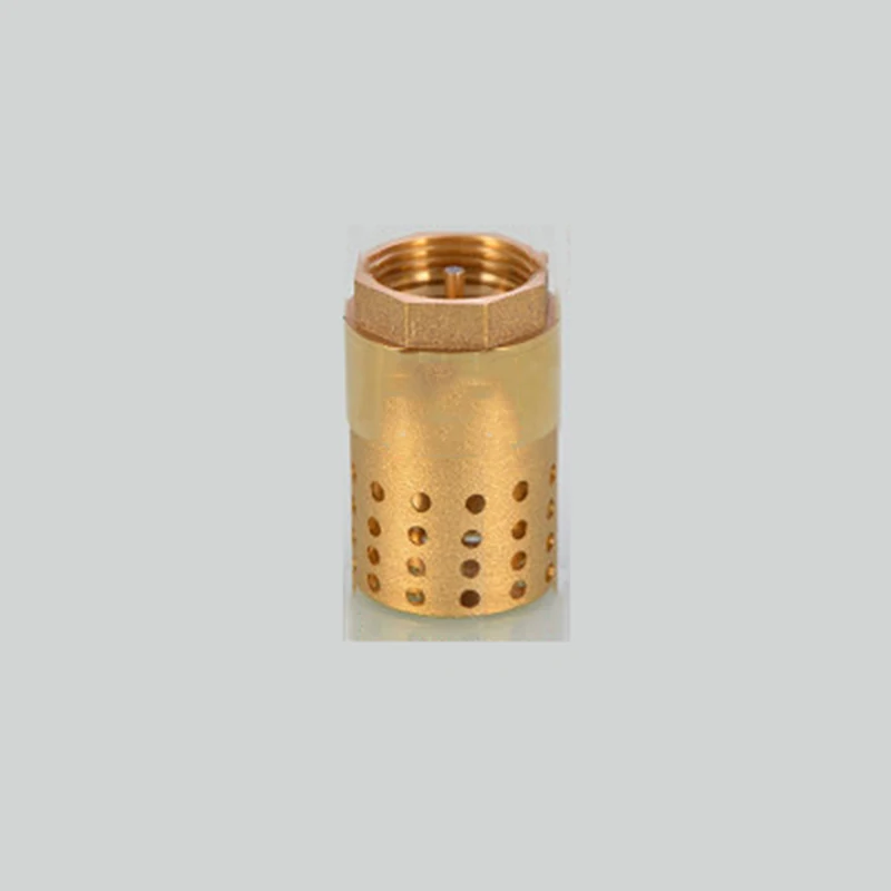 

1" BSP Female Thread Brass Check Valve With Strainer Filter Bottom Valve Foot Valve For Water Oil Air