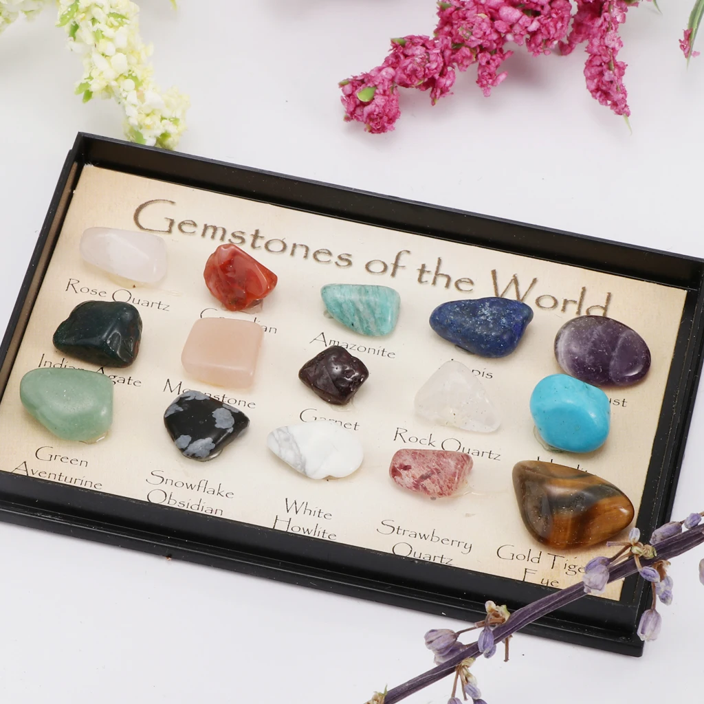 Rock & Mineral Collection Mixed Gemstone Crystals Natural Mineral Ore Specimens with Box, Earth Science Toy - Pack Of 15