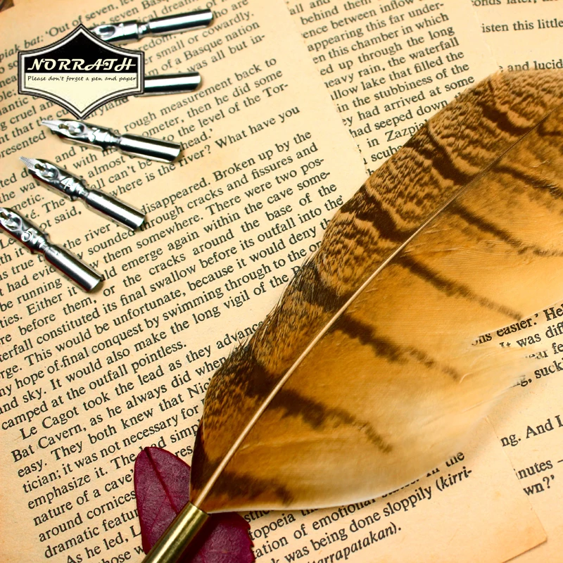 excellent vintage european feather fountain pen luxury gift box