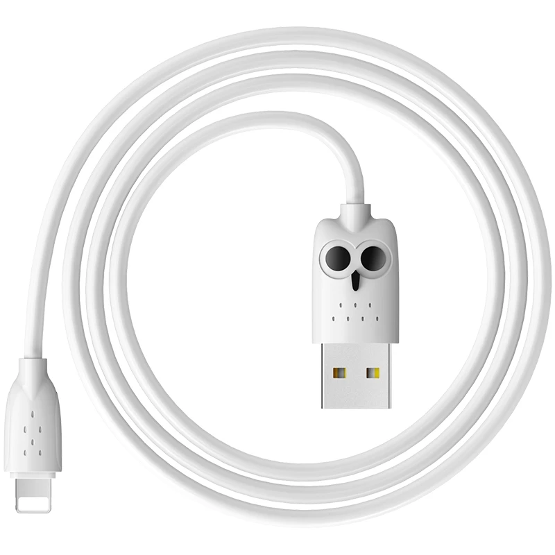 HOCO USB кабель для iPhone, зарядный кабель, двойное USB зарядное устройство для iPhone 5S 6 7 8 XS XR 2.4A зарядное устройство - Цвет: 100cm White