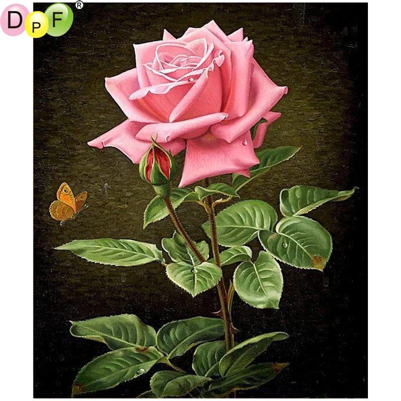 2025.2530.3040.4050.5060