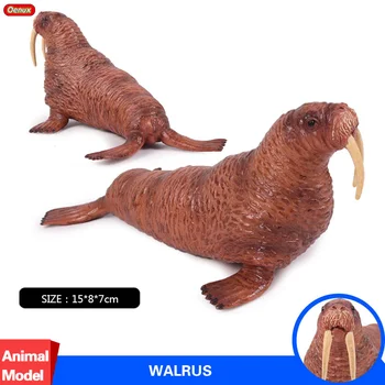 

Oenux 15*8*7cm Sea Life Odobenus Rosmarus Ocean Animals Walrus PVC Model Action Figure Collection&Educational Toy For Kids Gift