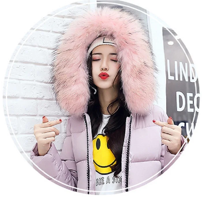 Winter Women Coat Jacket Warm High Quality Woman Jacket Winter Coat Hood Real  2017 New Winter Fashion+5 (2)