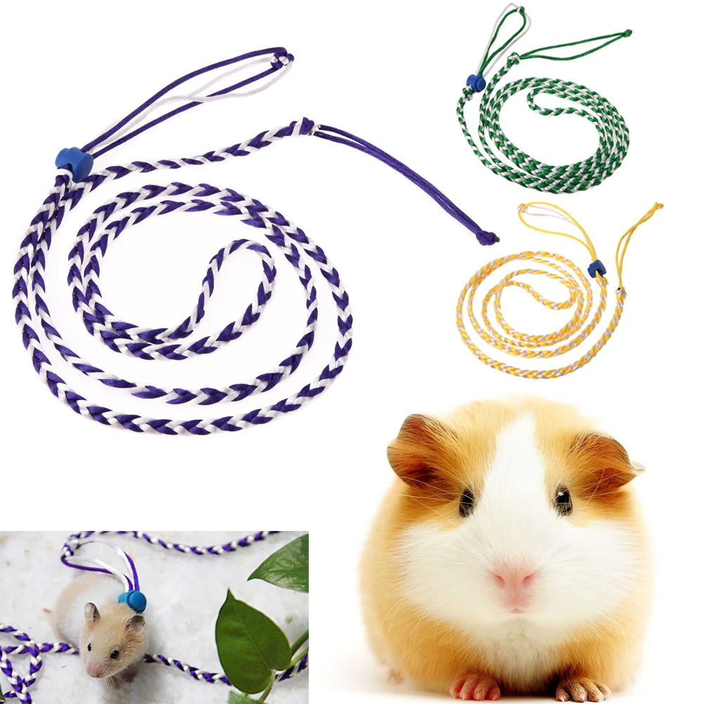 Laisse ajustable pour Hamster, 1.4M, pour animal de compagnie, Cage à  gerbilles, harnais en corde de coton, collier de plomb pour Rat, souris,  Hamster, fournitures pour animaux de compagnie | AliExpress