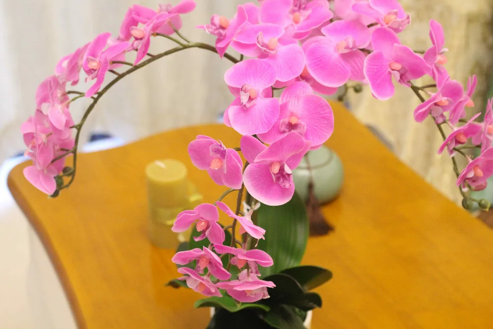 1 Набор цветок+ ваза искусственная композиция цветок орхидеи Бонсай настоящий сенсорный цветок Кремниевая Орхидея настоящий сенсорный лист орхидеи стеклянная ваза