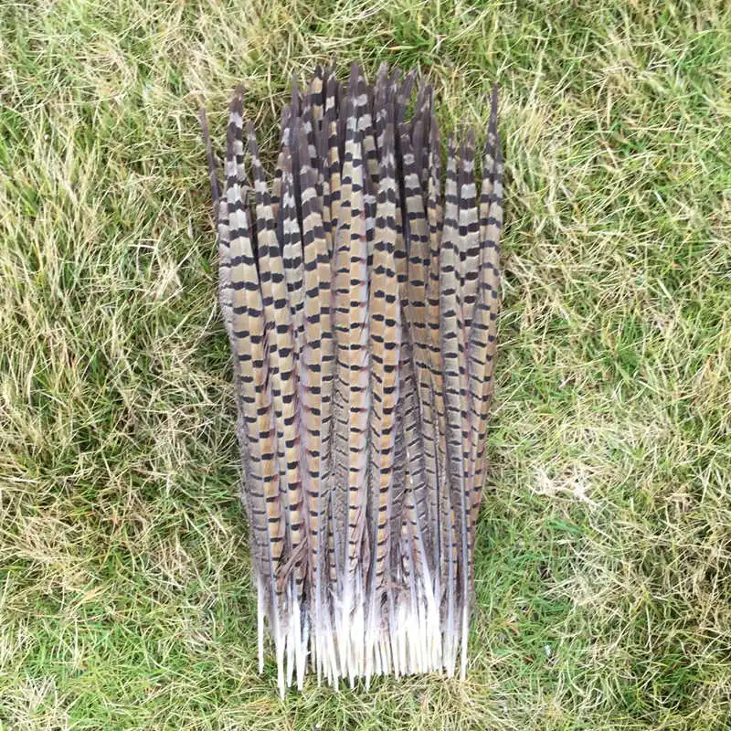 Free shipping/Wholesale 50pcs. Beautiful natural pheasant feathers 16