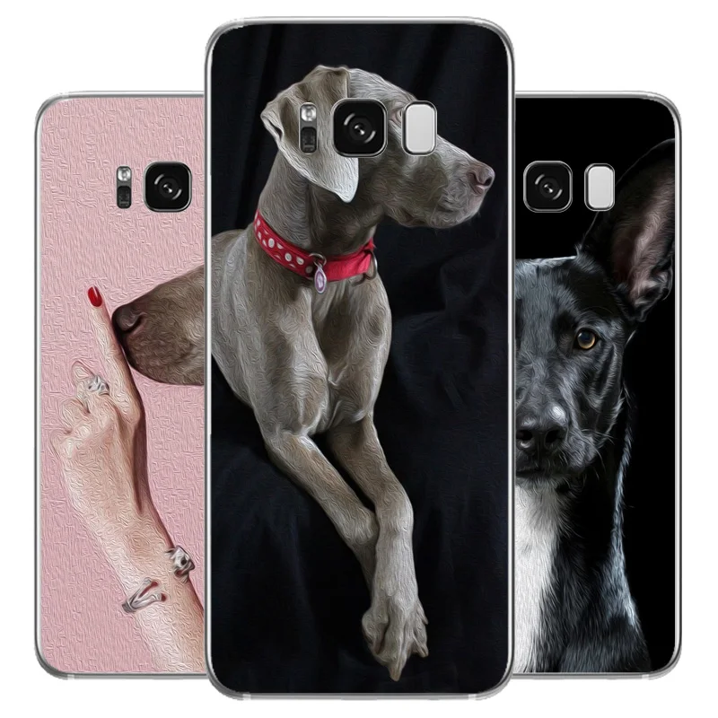 

N464 Weimaraner Cute Soft TPU Silicone Cover For Samsung Galaxy S5 S6 S7 S8 S9 S10 5G S10E Lite Edge Plus Case