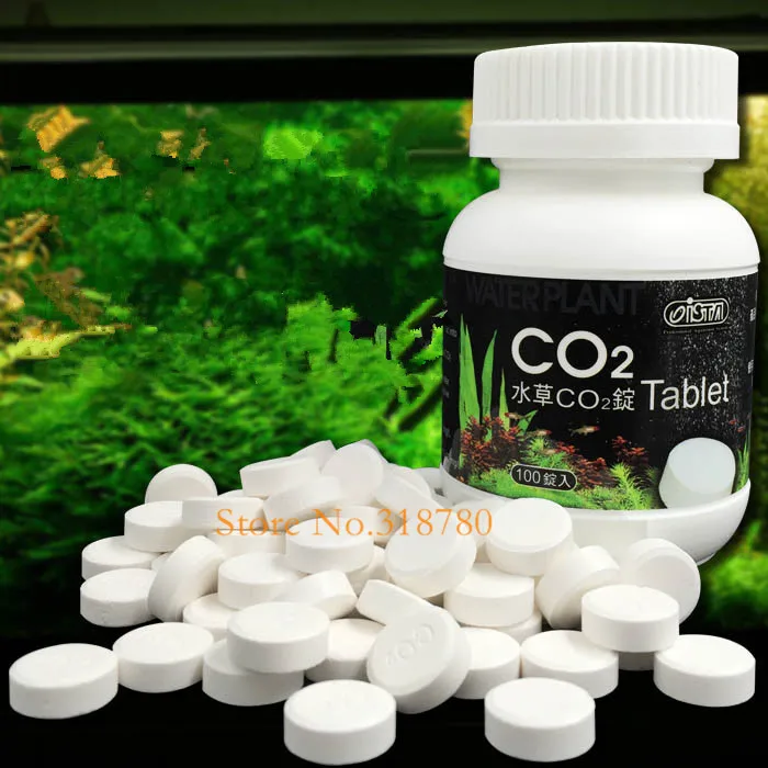 co2 b (1)