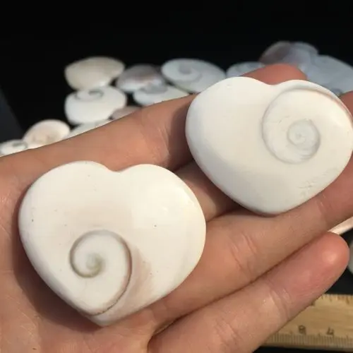 Натуральный корпус fossil crystal craft conch сердце с лечебным действием, образцы 2шт